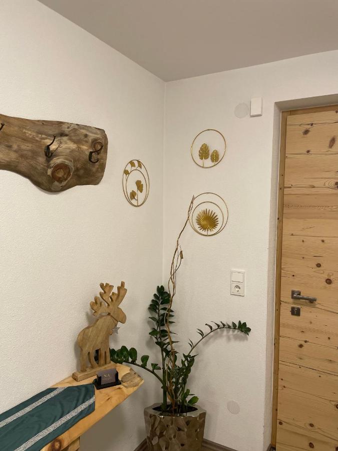Aschau Im ZillertalNeuhauslivingアパートメント エクステリア 写真